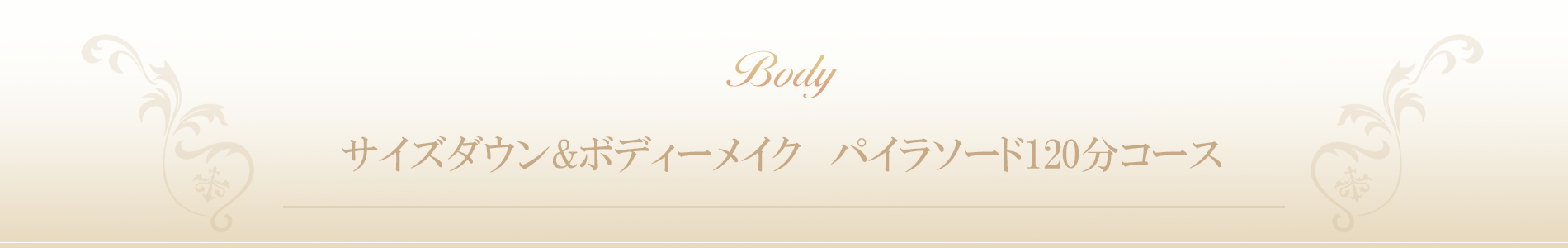 サイズダウン&ボディーメイク　パイラソード120分コース